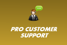 Pro Customer Support